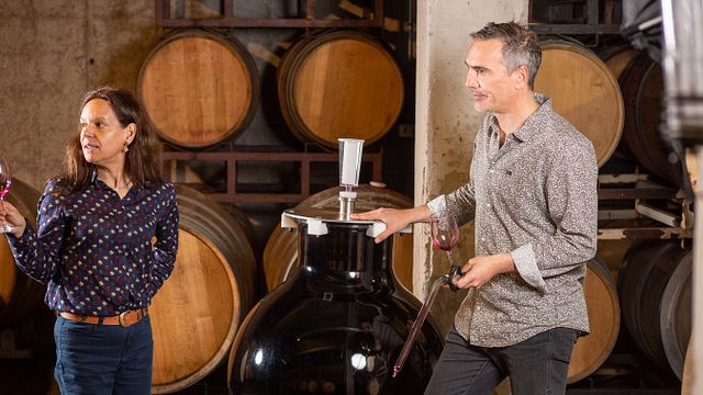 Tour della cantina Tanagra e degustazione di vini