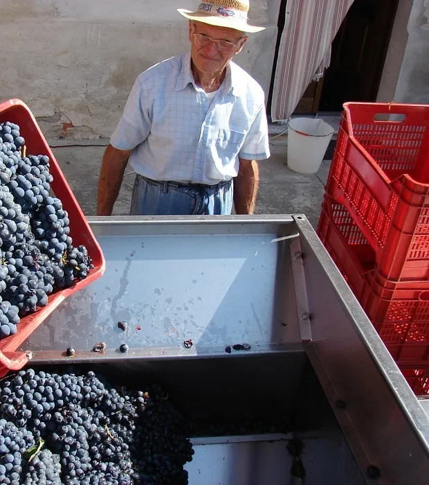 Adriano Grasso Natural Wines
