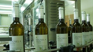 Bodegas Eidosela