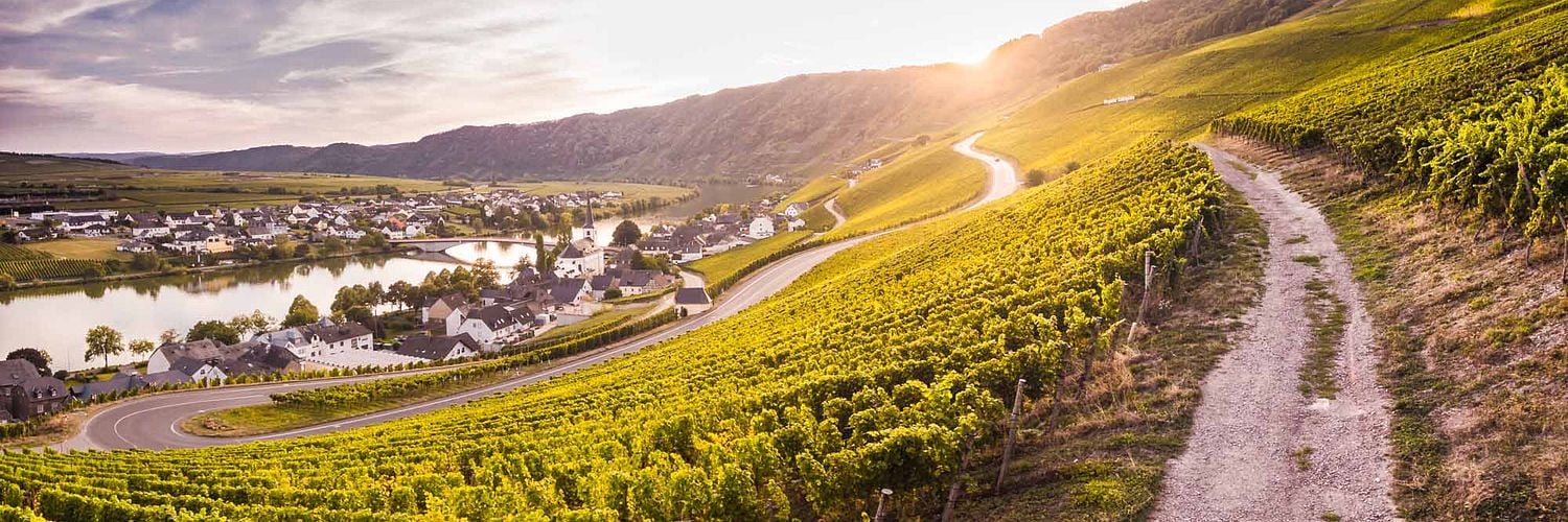Weingut Breit Moselle Vineyard