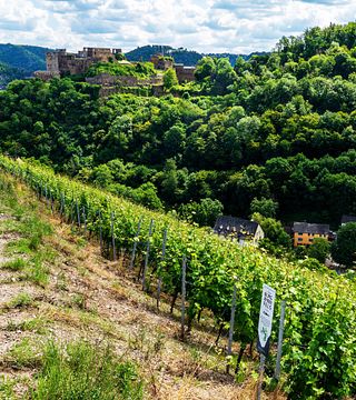 Weingut Philipps-Mühle