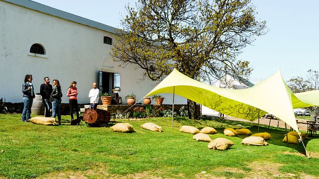 Degustazione di vini premium e tour a Slent Farms