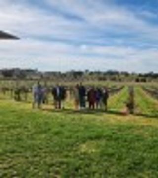 Canberra Winery Tours