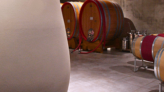 Barolo Luxus-Erlebnis
