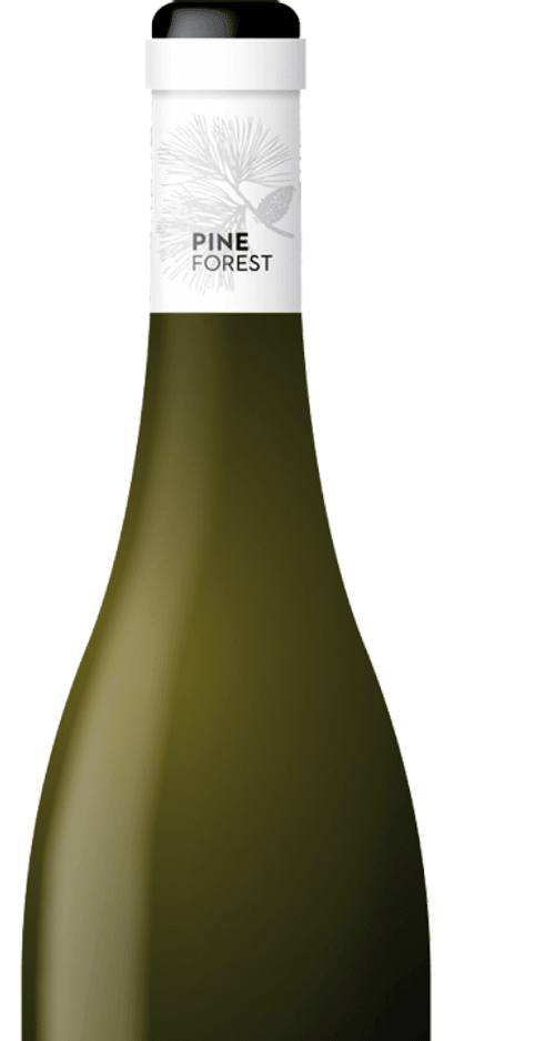 Pine Forest