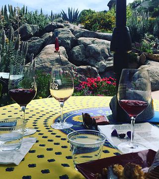 Dégustation de vins et visite à Turtle Rock Ridge