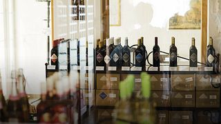 Weinverkostung und Führung im Wein- und Sekthaus Taschner