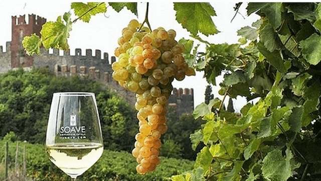 Fernando Tasciotti, specialist of Italian traditional food and wine