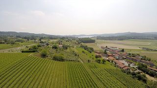 Taste Piedmont Wines from Sparkling to Sweet in a Cellar