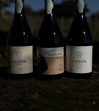 Dîner avec chef privé à Lusus Wine House