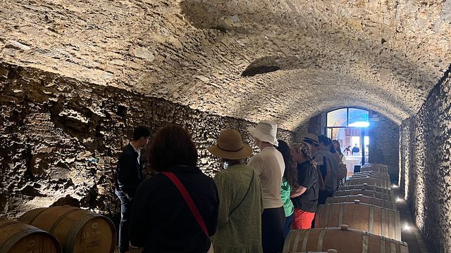 Visite de 3 domaines viticoles du Chianti avec déjeuner