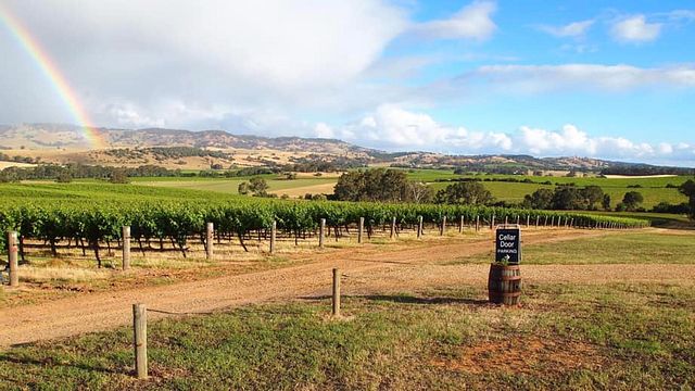 Dégustation de vins et visite à God'S Hill / lzi Wines