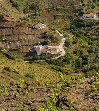 Bodegas Dimobe: A Legacy of Winemaking