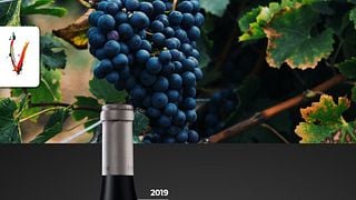 Degustazione e tour Premium di Ventisquero
