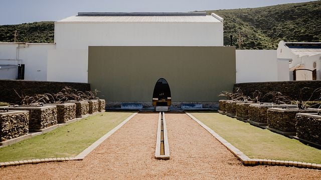 Cativado pela experiência Chardonnay na Weltevrede Wine Estate