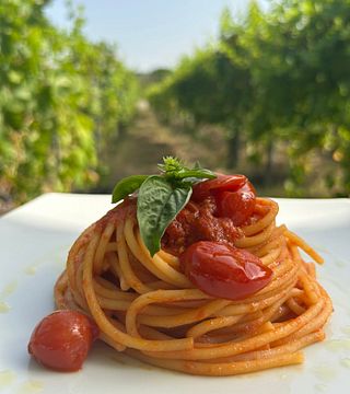 Dégustation de vins et déjeuner dans le vignoble du Vésuve à Tenuta Le Lune del Vesuvio