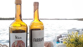 Weinprobe in der Natur bei Gerações Da Talha