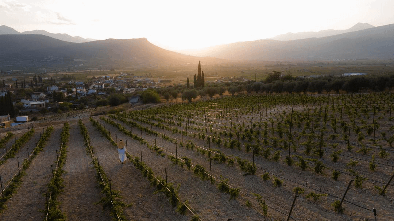 Barafakas Winery
