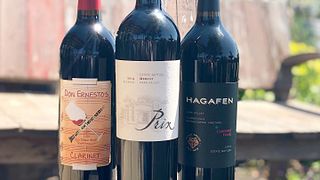 Einzigartige Verkostung im Sitzen bei Hagafen Cellars