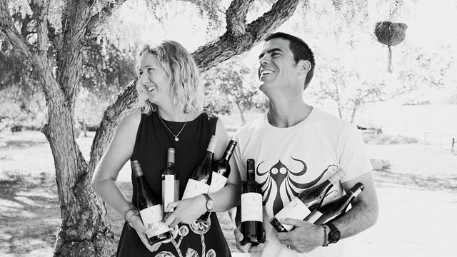 Cata de vinos y visita guiada a la bodega Joostenberg