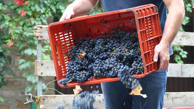 Cantina Perazzeta