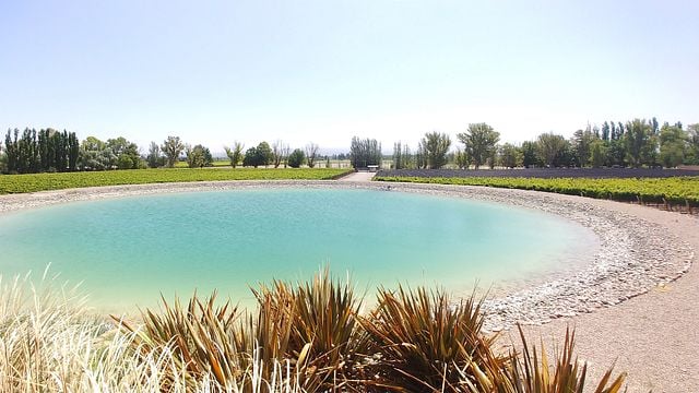 Maipu Wine Region Tour