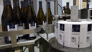 Dégustation et visite des vins du Domaine de la Jobeline