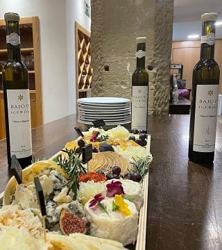 Degustação de vinhos de vinhedo único na Bodega Gil Berzal