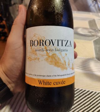 Esperienza privata di degustazione di formaggi e vini a Sofia