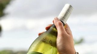 Familienangelegenheit: Weinprobe im Backsberg Estate Cellars
