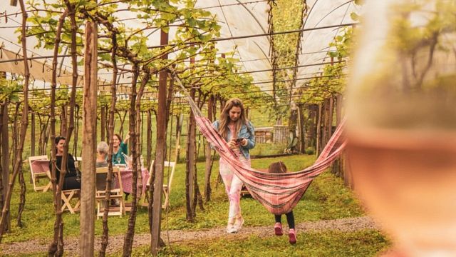 Harmonisierte Verkostung unter den Weinreben bei Vinicola Videiras Carraro