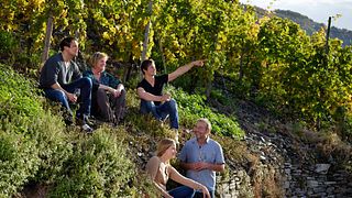 Weingut Geierslay