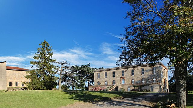 Cata de vinos Sense en 3 fases en el Château de Tauziès