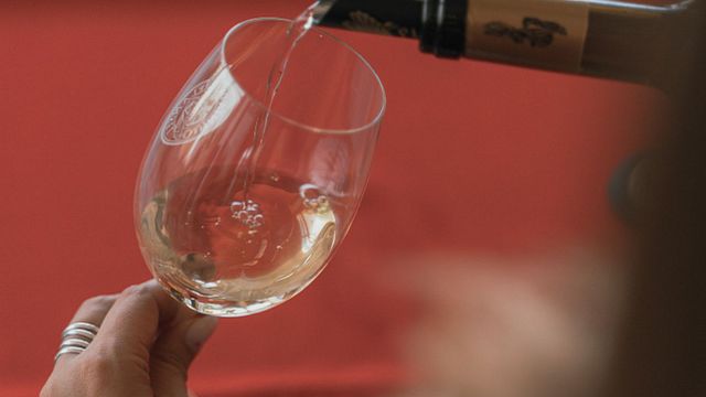 Vino y cena en Quinta Da Plansel - Menú Marquês 
