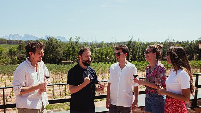 Castlexperience Wine Tours