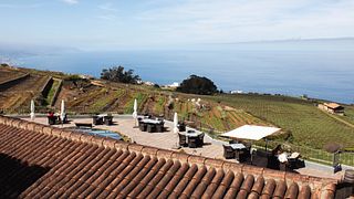 Canary Islands: Ocean vs Land Wine Tasting