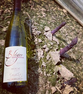 Domaine Bleger