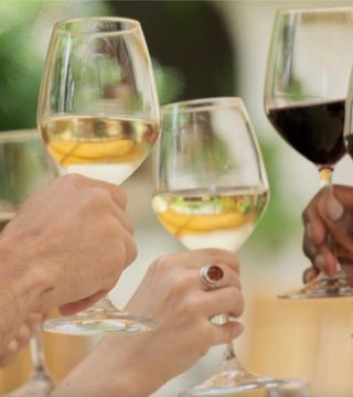 Halvdags guidad vinprovningstur i Bordeaux vingårdar