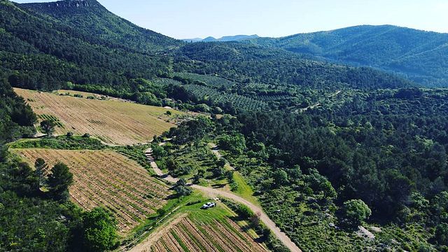 Cata de vinos y tour en Domaine De L'Allamande