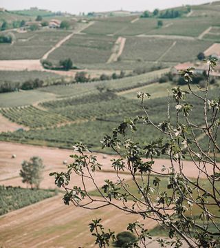 Moasca Einzigartiges Terroir