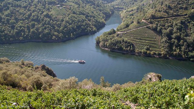 Visite privée des vins de Ribeira Sacra