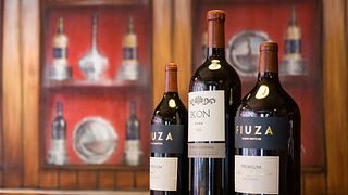 Expérience vinicole haut de gamme chez Fiuza & Bright