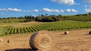 Visita alla Nostra Cantina del 1300 con Degustazione presso Fanetti