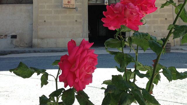Cata y visita de vinos en Sangenís I Vaqué