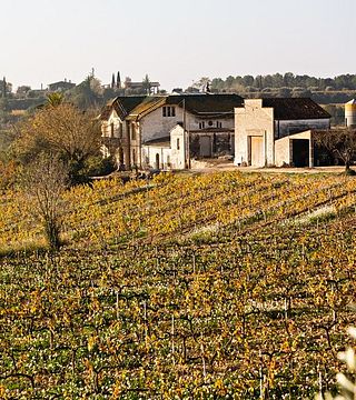 Vins El Cep: A Legacy of Quality Wines