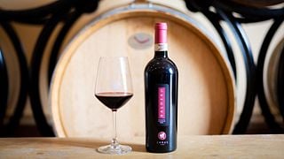 Vinprovning och rundtur på Carus Vini