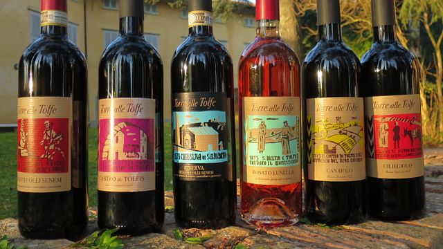 Dégustation de vins et visite à Torre Alle Tolfe