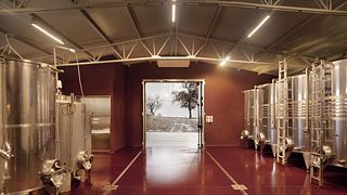 Brunello-Erlebnis in Sanlorenzo