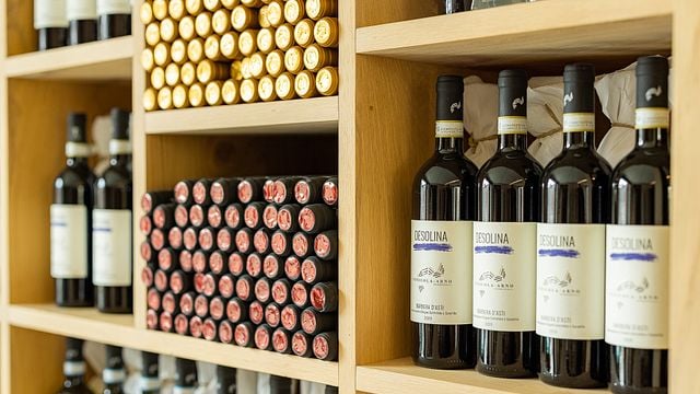 Discover Piedmont Wines in a Natural Vineyard Amphitheatre