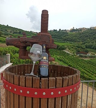 Weinprobe und Tour bei Boscaini Carlo